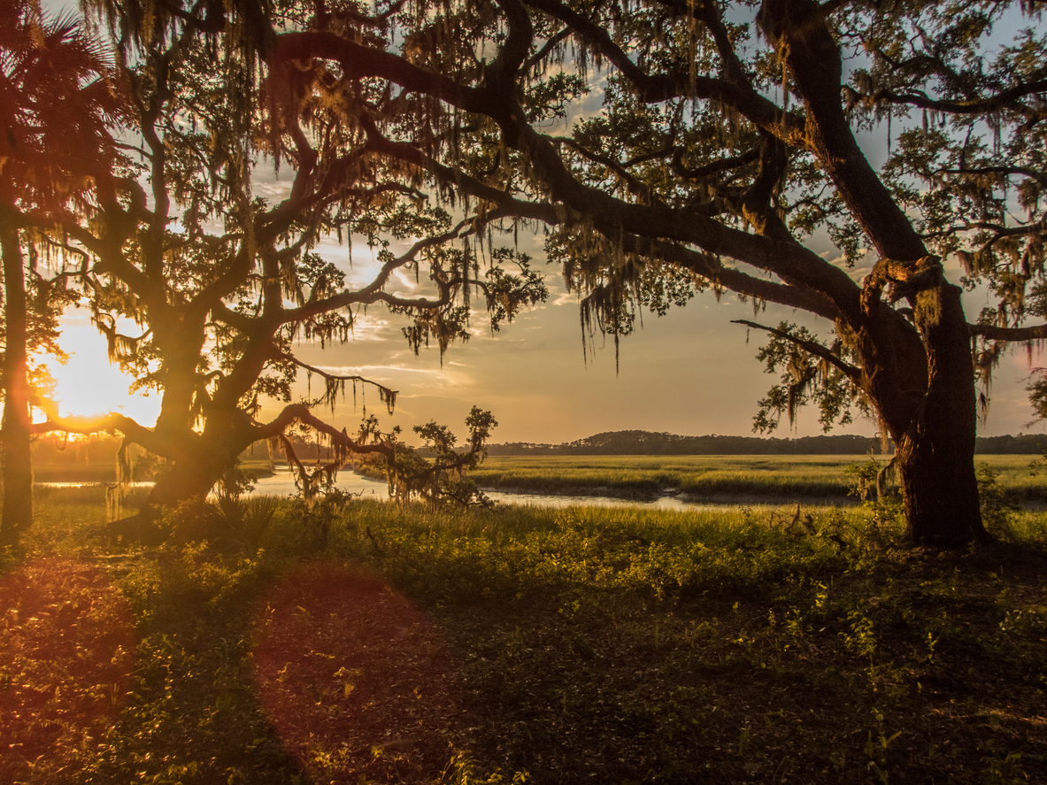 Panoramic Image of Goose Creek, SC